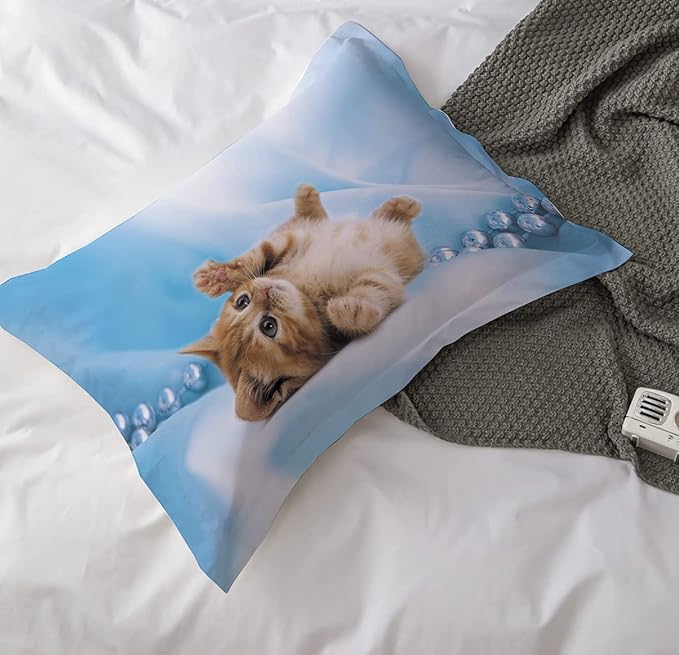 Yasida Cat Comforter Girls Summer Comforter Set Set Twin Size for Kids Blue Cat Comforter 3Pcs Twin Kids Bedding Set for Boys and Girls (1Comforter+ 2 Pillowcases) Lovely Animal Pets