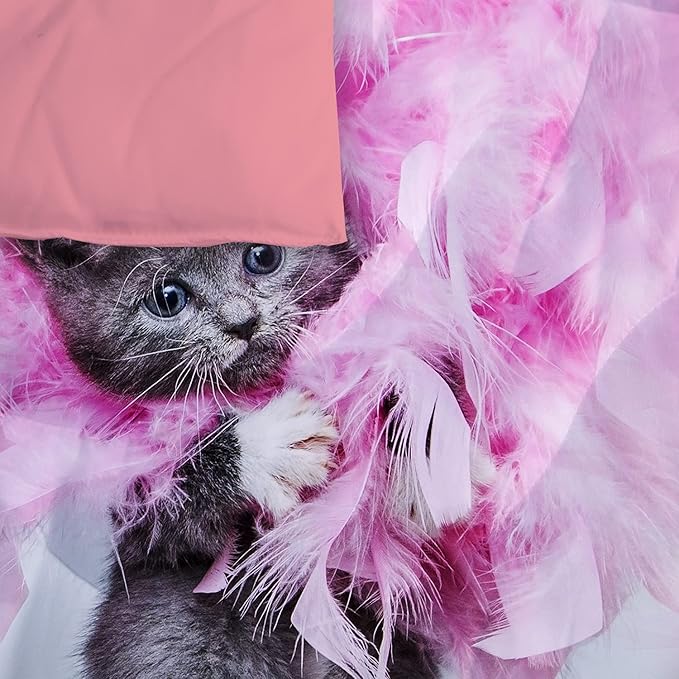 Yasida Twin Cat Bedding Set - Pink Feathers Black Cat 3Pcs (1 Comforter + 2 Pillowcases) Kids Animal Pets Comforter Set