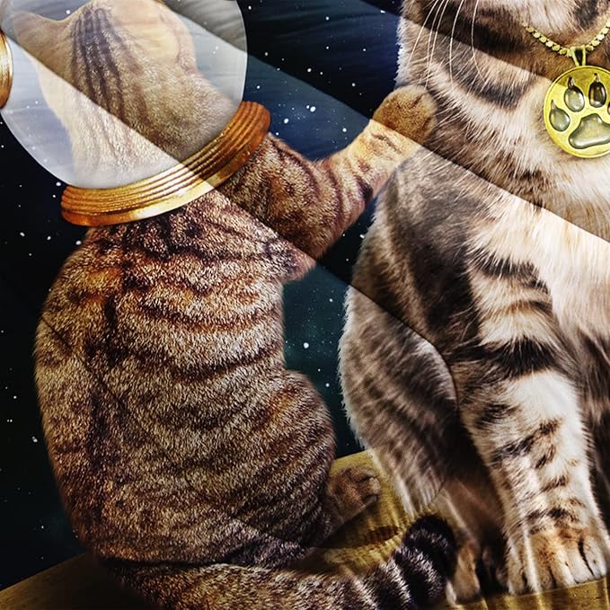 AILONEN Beige Cat Bedding Set Queen Size with Wearing Space Suit Cat Galaxy Planet Comforter Set for Kids Boys Girls,Rocket Starry Soft Breathable Duvet Set 3 Pieces, 1 Quilt and 2 Pillowcases
